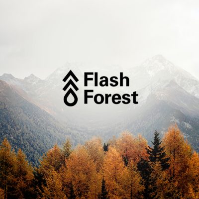 Top 10 Spotlight: Flash Forest - New Ventures BC